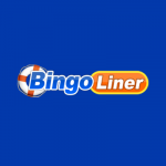 Bingo Liner Casino logo