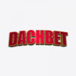 Dachbet Casino logo