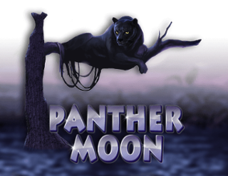 Panther Moon Free Play in Demo Mode 
                        by Playtech