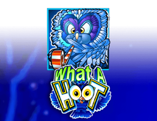 What a Hoot Free Play in Demo Mode 
                        by Games Global
