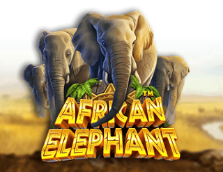 African Elephant Free Play in Demo Mode 
                        by Pragmatic Play
