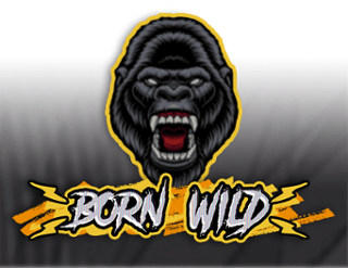 Born Wild Free Play in Demo Mode 
                        by Hacksaw Gaming