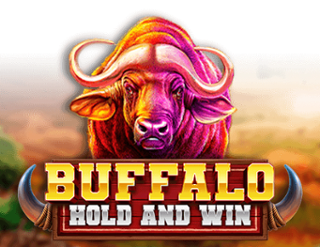 Buffalo Hold and Win Free Play in Demo Mode 
                        by Booming Games