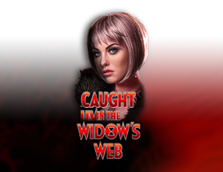 Caught in the Widow's Web Free Play in Demo Mode 
                        by High 5 Games