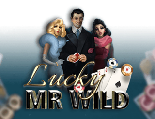 Lucky Mr Wild Free Play in Demo Mode 
                        by Spearhead Studios
