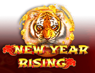 New Year Rising Free Play in Demo Mode 
                        by Ruby Play