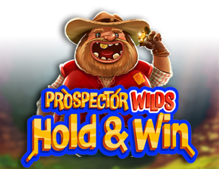 Prospector Wilds Hold and Win Free Play in Demo Mode 
                        by Prospect Gaming
