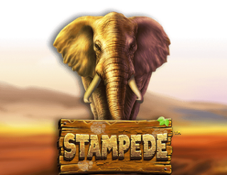 Stampede Free Play in Demo Mode 
                        by Betsoft Gaming
