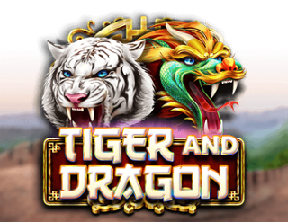 Tiger and Dragon Free Play in Demo Mode 
                        by Red Rake Gaming
