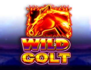 Wild Colt Free Play in Demo Mode 
                        by JVL