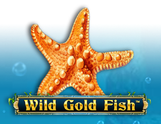 Wild Gold Fish Free Play in Demo Mode 
                        by Retro Gaming