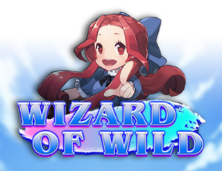 Wizard of Wild  
                        by Ka Gaming