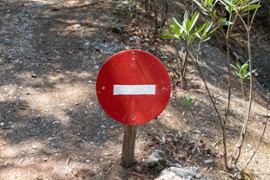 Kentucky Gov. Beshear vetoes sports betting, DFS bill - Casino News Thumbnail