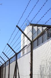 Nearly 100 Chinese nationals arrested over online gambling, fraud in Myanmar - Casino News Thumbnail