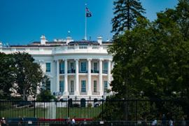 "UFC Showdown at the White House - Fighters, Date, and What to Anticipate" - Casino News Thumbnail