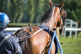 Autoritatea Britanică pentru Curse de Cai îl primește cu entuziasm pe Lord Allen în funcția de noul său președinte. - Casino News Thumbnail